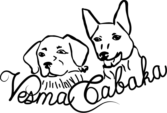 trouver un éducateur canin Educateur canin ain