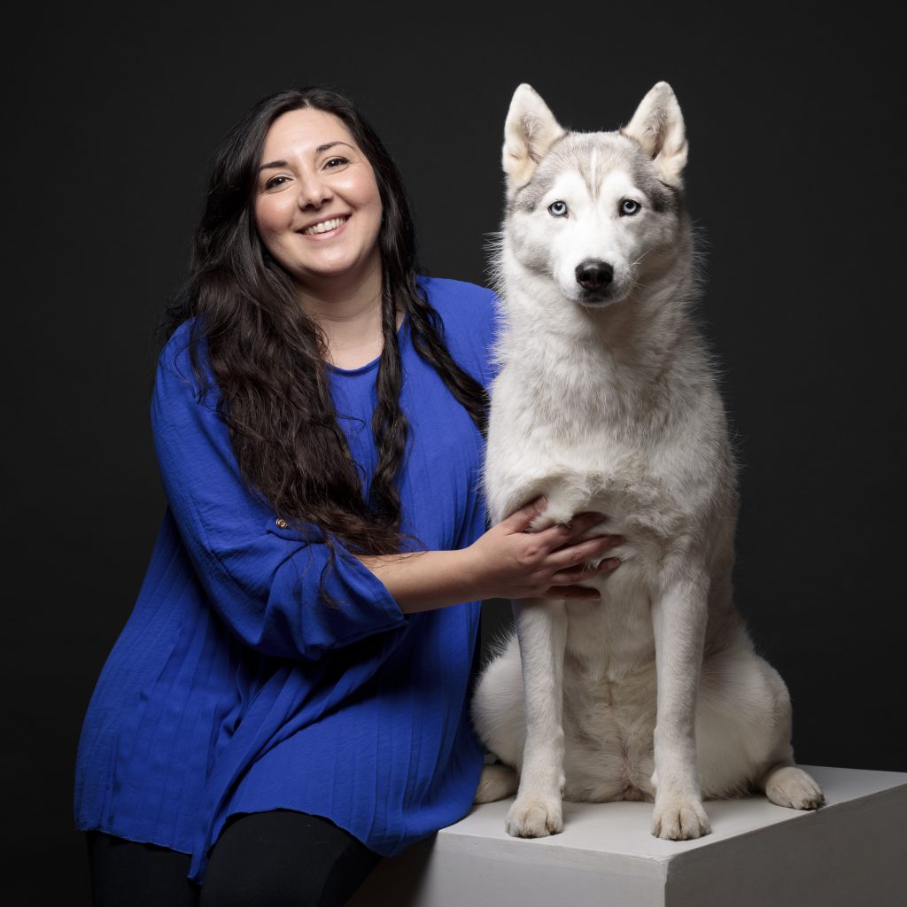 Accessoire canin Collier personnalisé chien Accessoires personnalisés chien